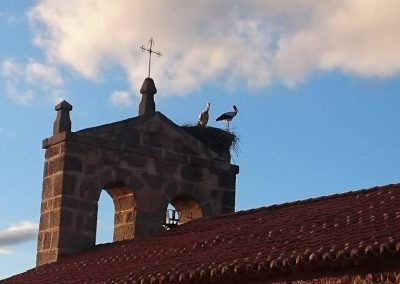 Imagen del campanario de la iglesia de Mironcillo