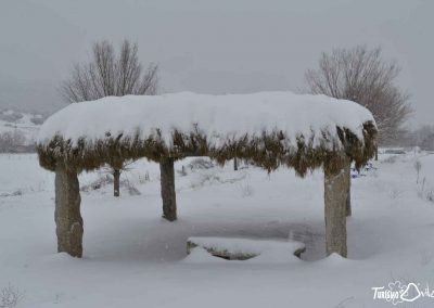 Nevada en Mironcillo (Ávila) en enero de 2021