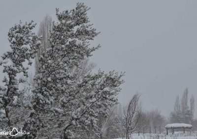 Nevada en Mironcillo (Ávila) en enero de 2021